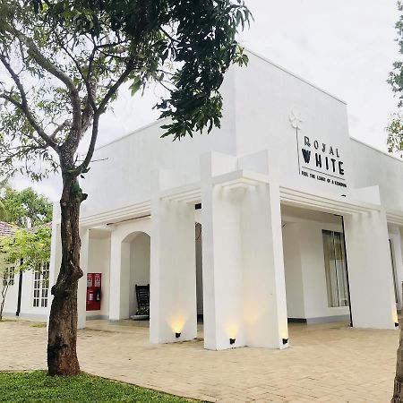 Royal White Tourist Rest Hotel อนุราธปุระ ภายนอก รูปภาพ