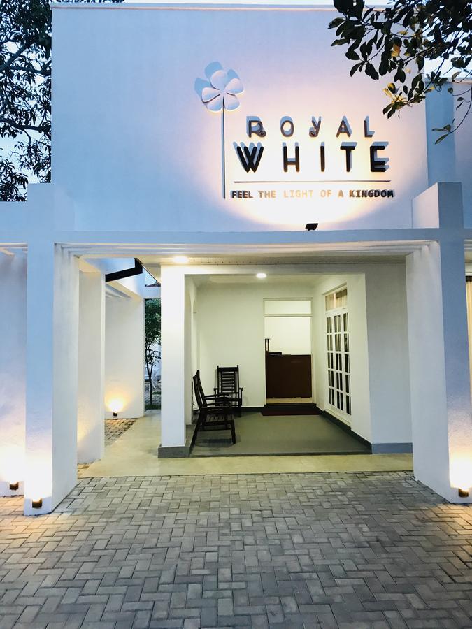 Royal White Tourist Rest Hotel อนุราธปุระ ภายนอก รูปภาพ