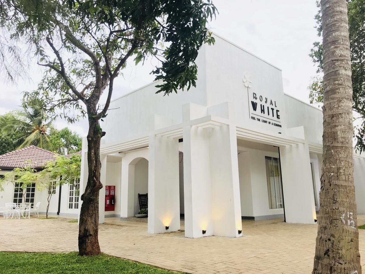 Royal White Tourist Rest Hotel อนุราธปุระ ภายนอก รูปภาพ